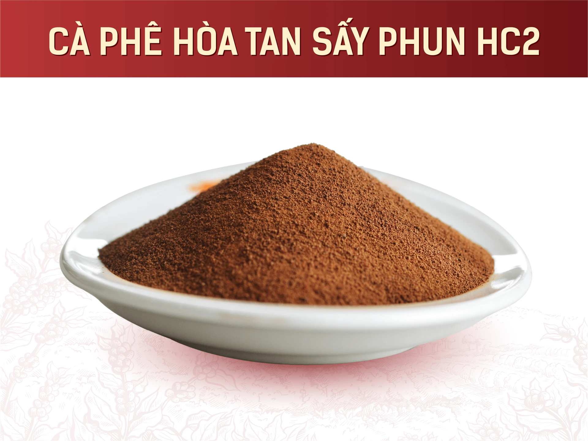 HC2 Spray-Dried Instant Coffee - An Thai Vietnam